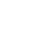 program-icon
